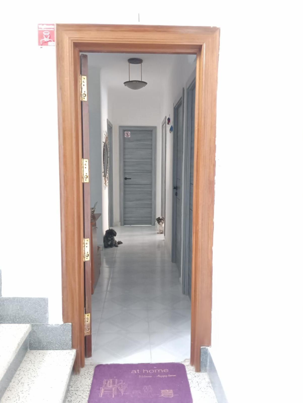 Alicante Habitacion Oasis Zewnętrze zdjęcie