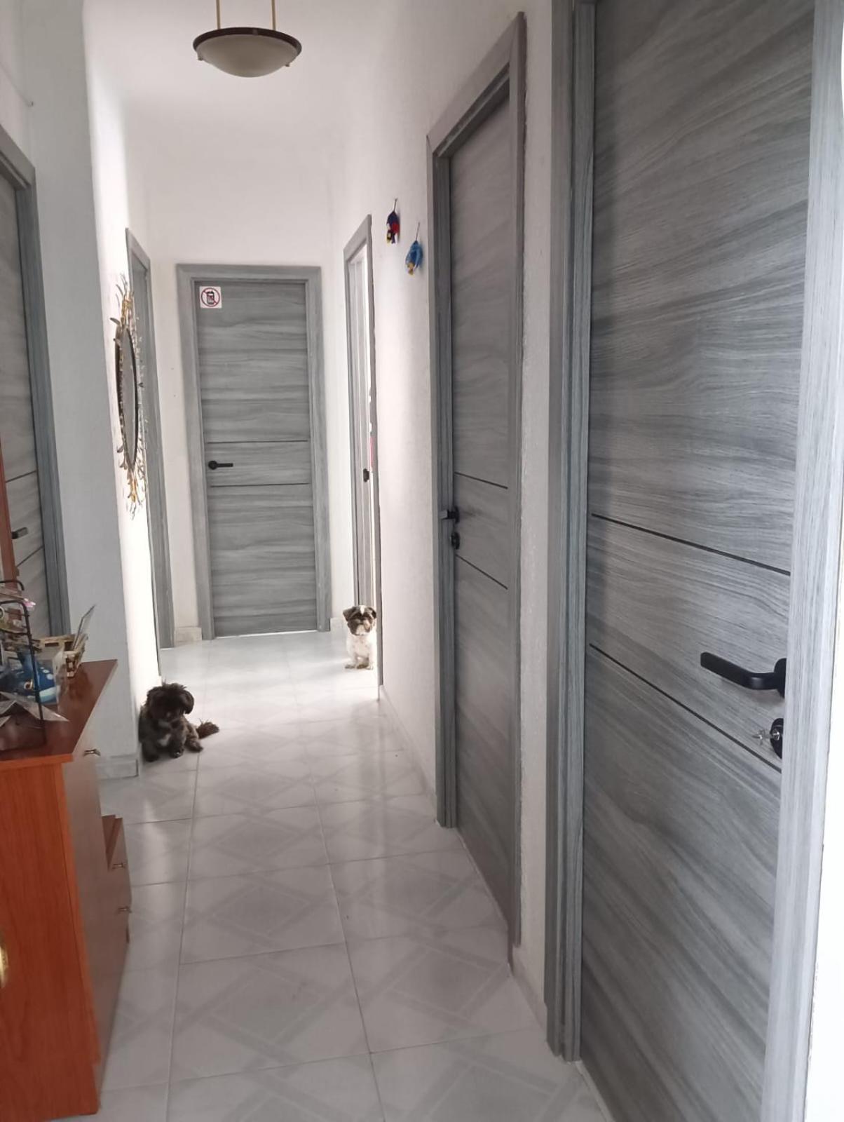 Alicante Habitacion Oasis Zewnętrze zdjęcie